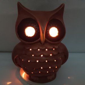 Vintage Handmade Ceramic Owl Light Hobbyist Hand Painted Electric Bird Lamp